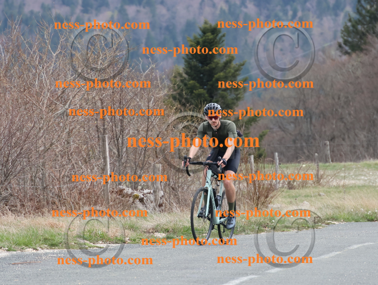 Col du Grand Colombier (412).JPG