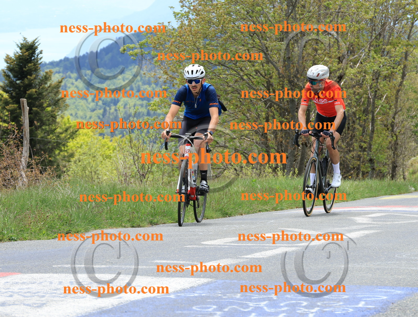 Col du Grand Colombier (480).JPG