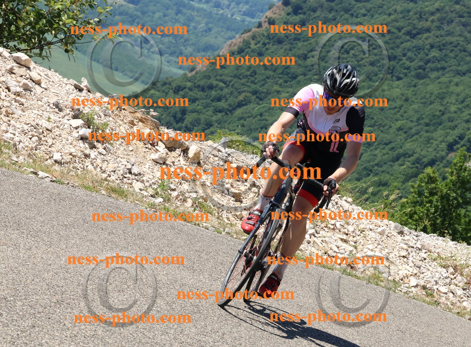 Col du Grand Colombier (550).JPG