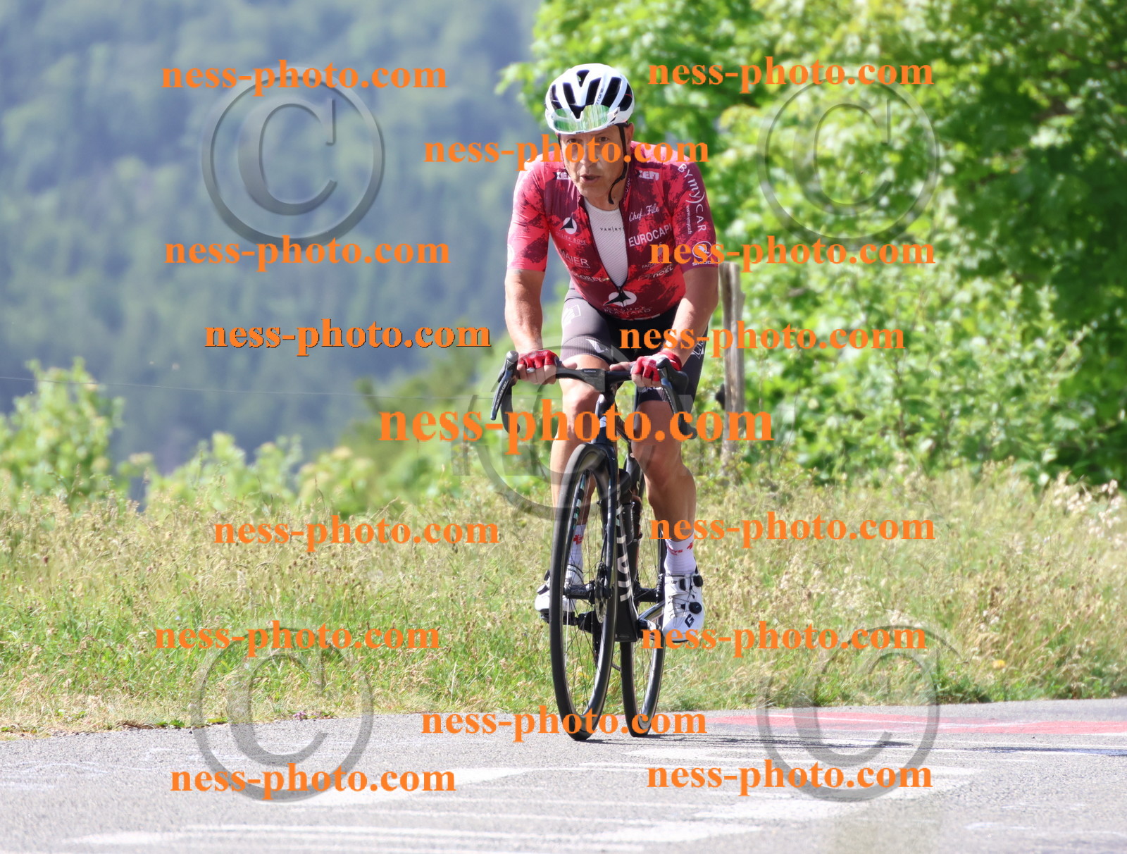 Col du grand Colombier (752).JPG