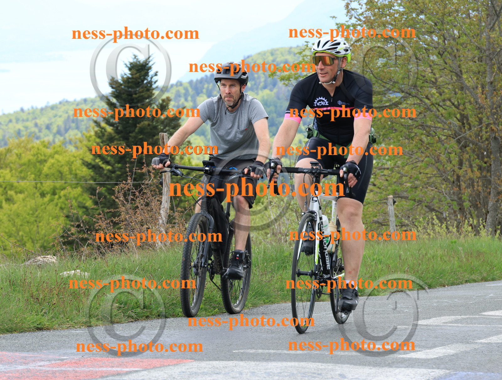 Col du Grand Colombier (592).JPG