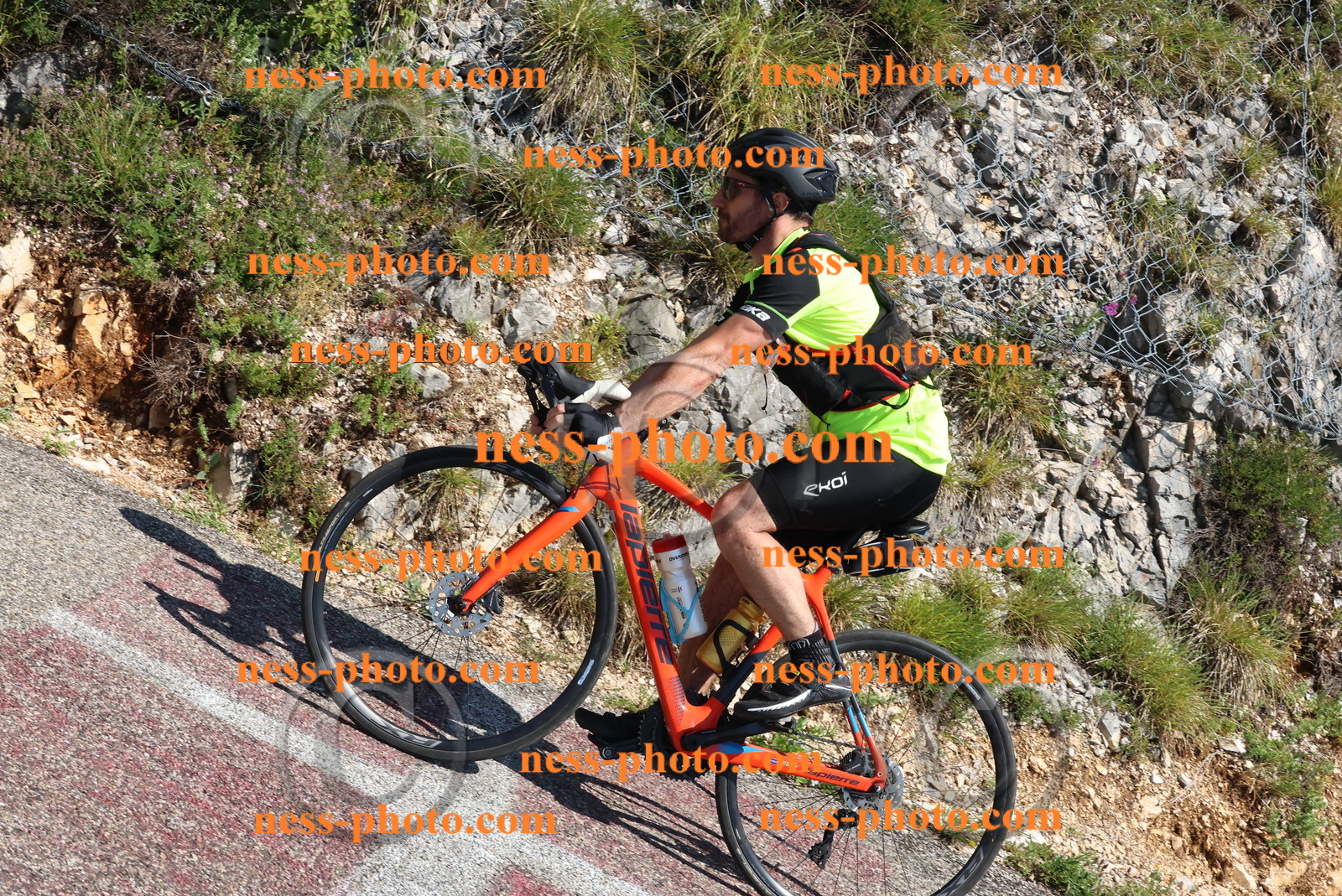 Col du Grand Colombier (473).JPG