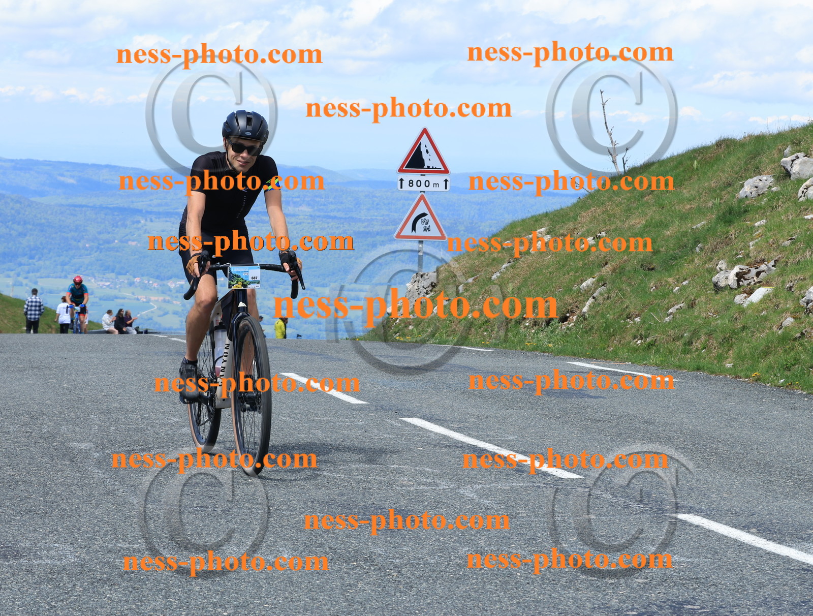 Col du Grand Colombier (1516).JPG