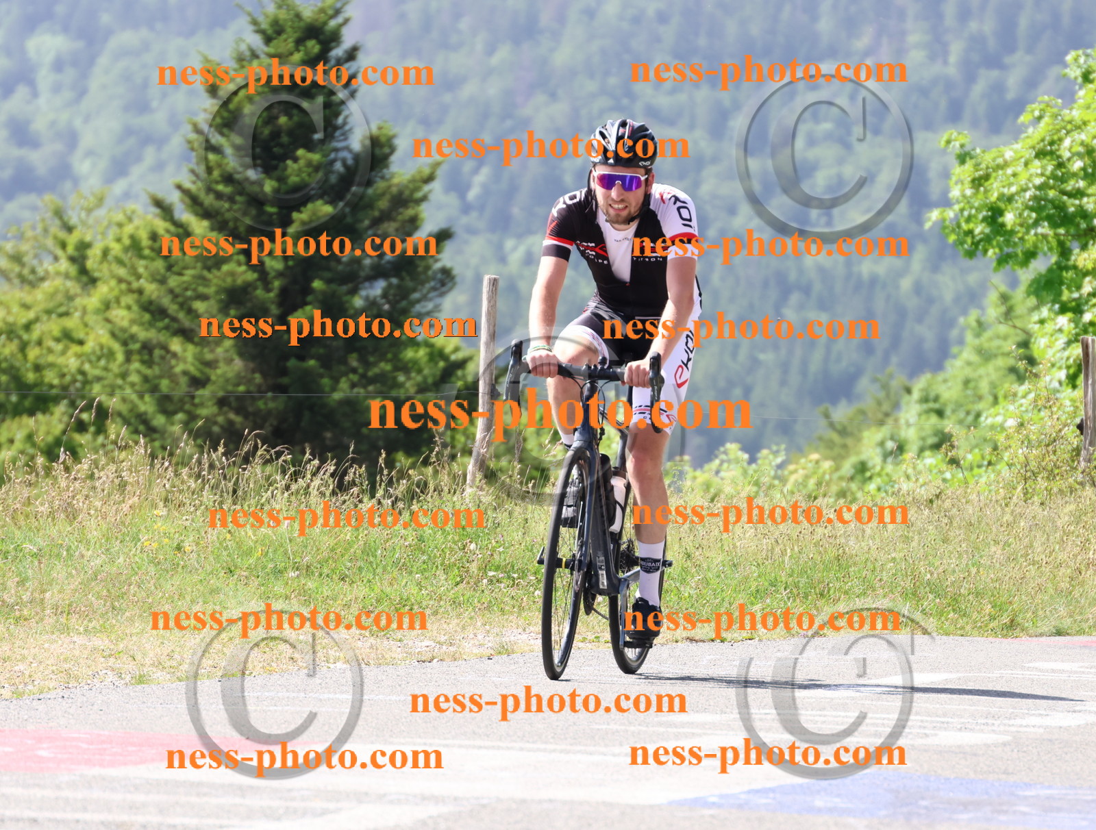 Col du grand Colombier (987).JPG