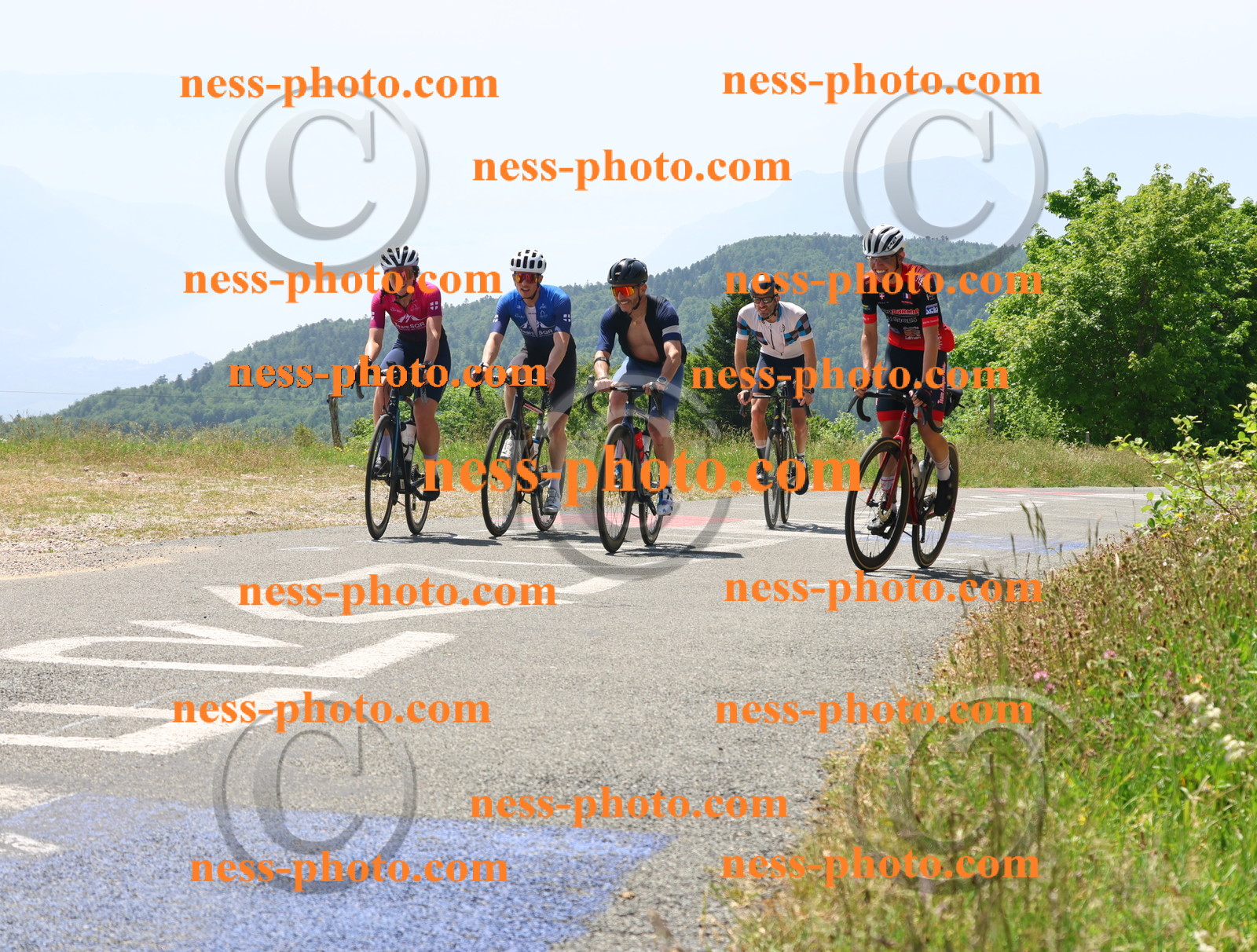 Col du grand Colombier (2421).JPG