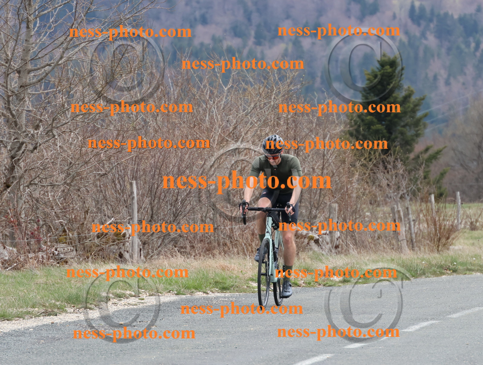 Col du Grand Colombier (414).JPG