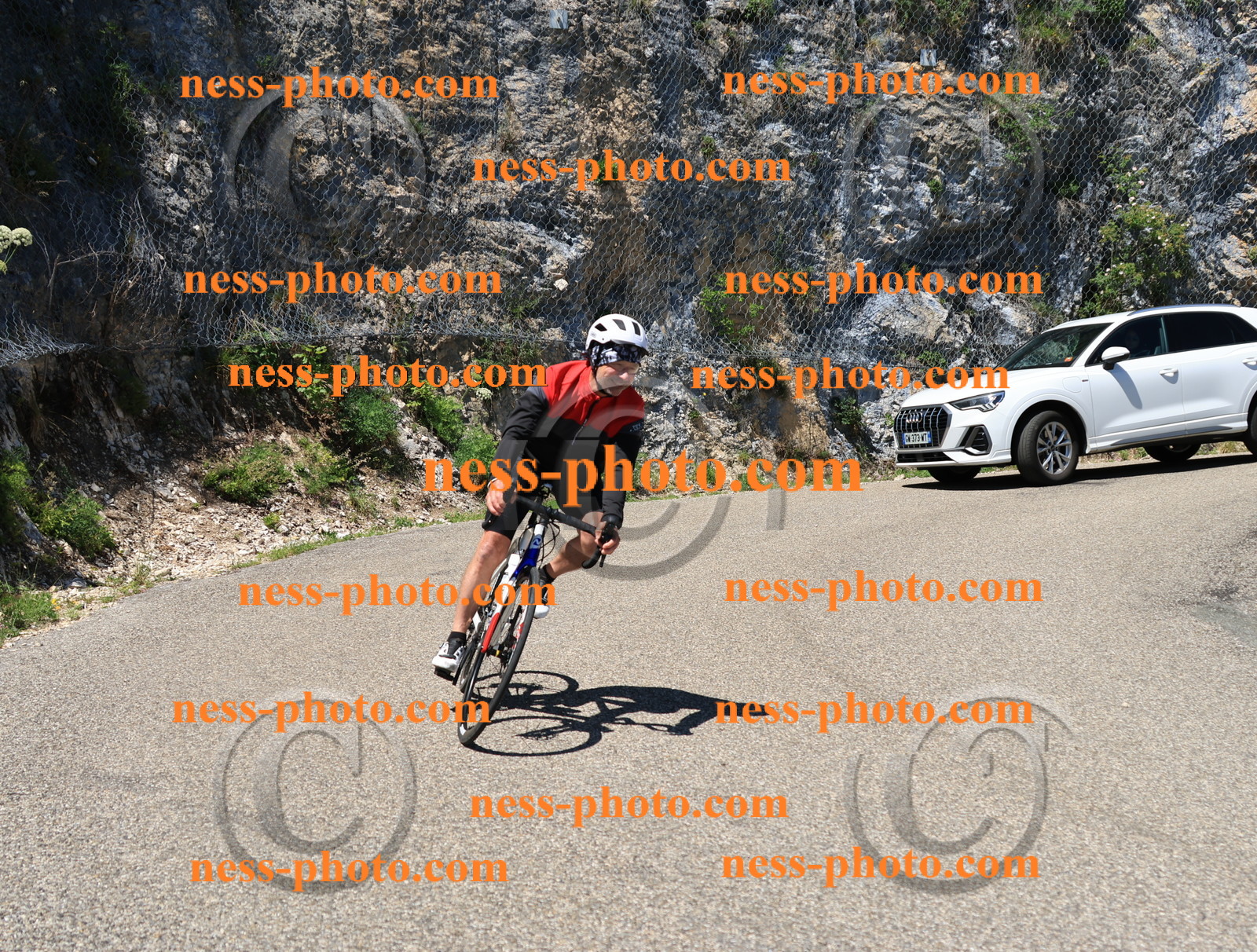 Col du Grand Colombier (693).JPG