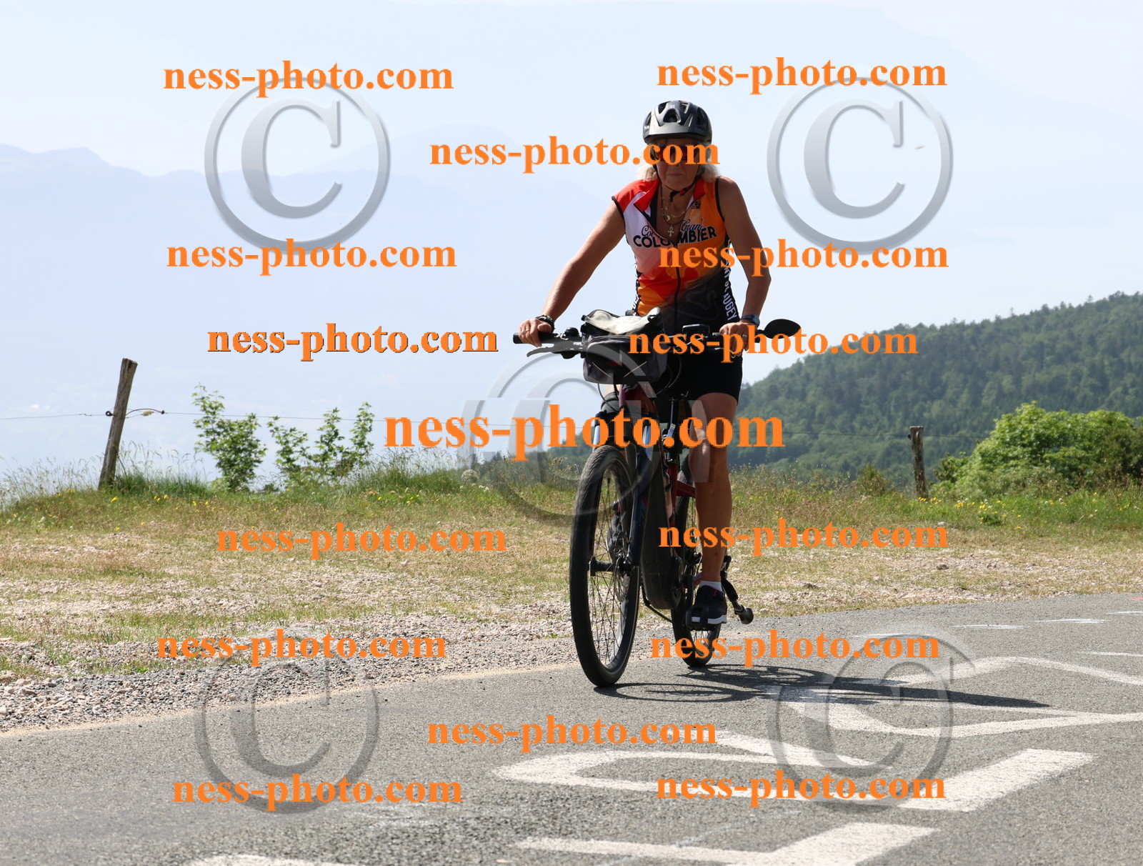 Col du grand Colombier (1249).JPG