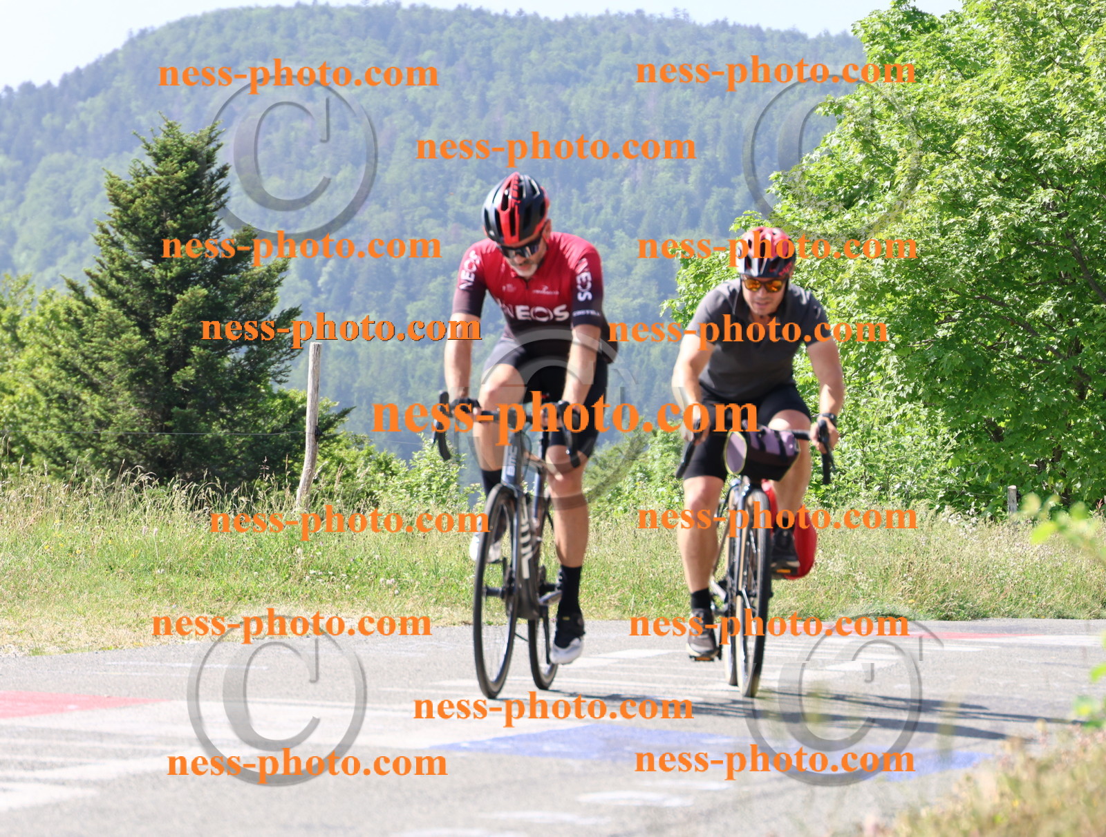 Col du grand Colombier (597).JPG