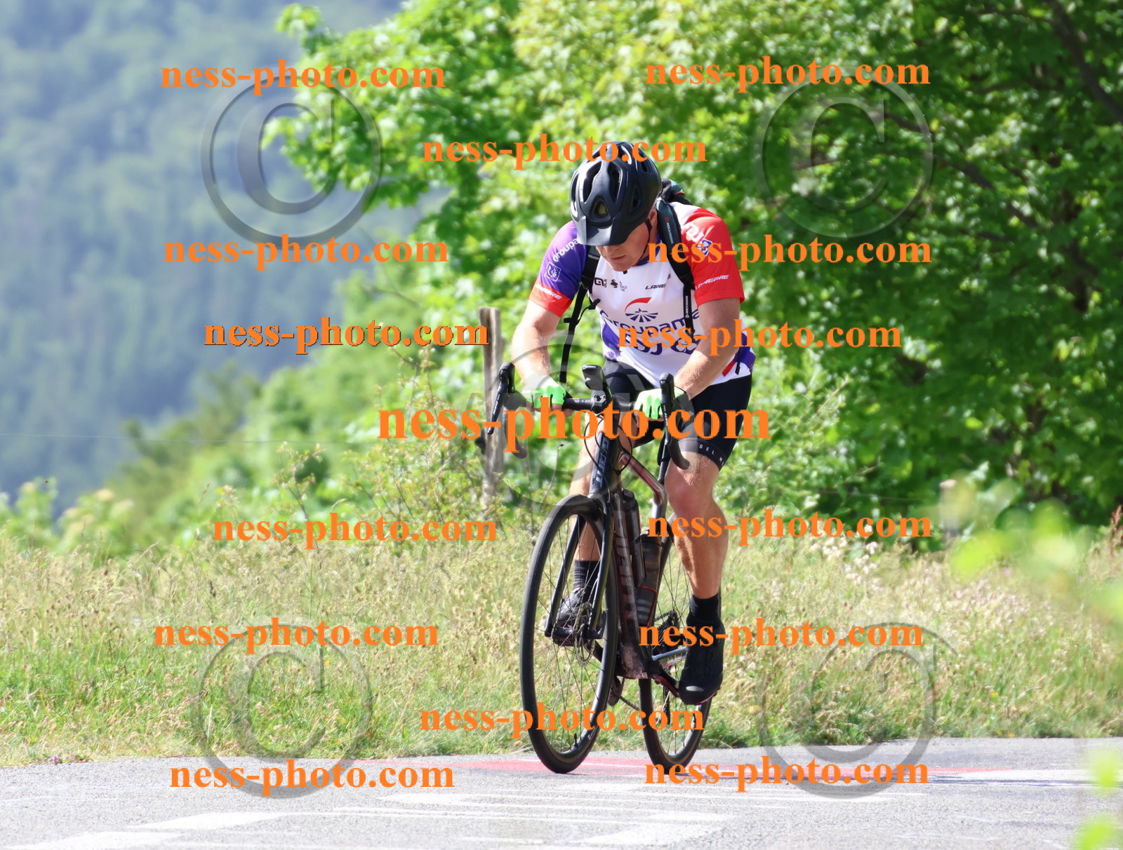 Col du grand Colombier (501).JPG