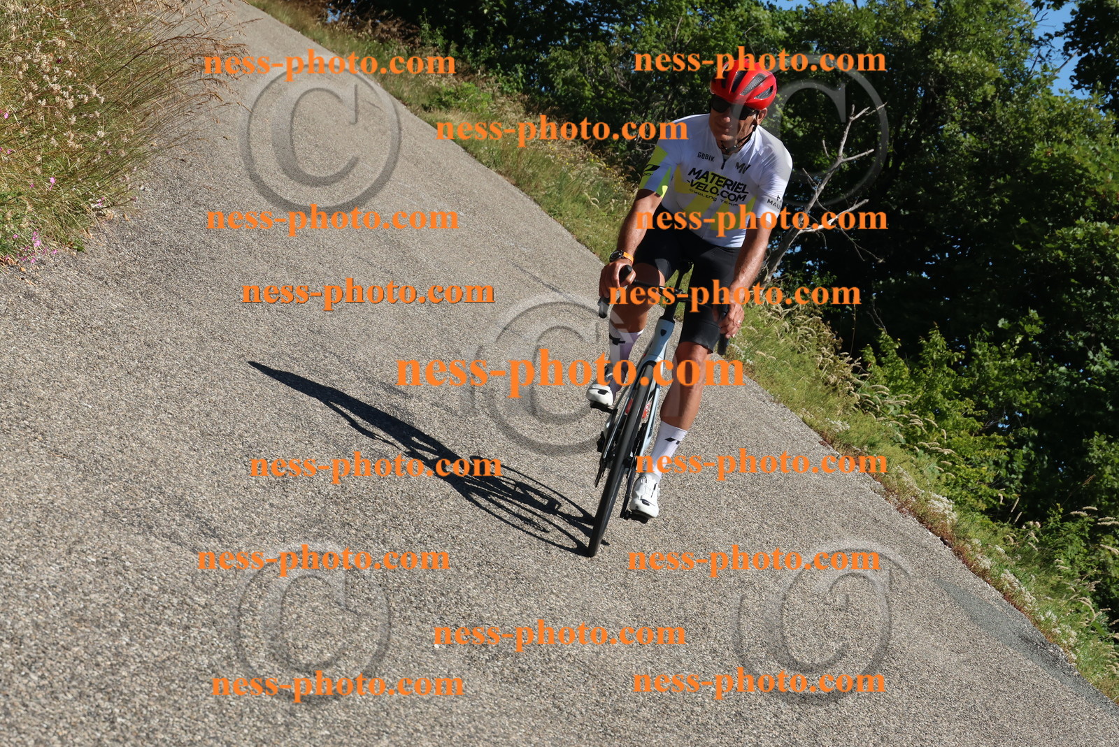 Col du Grand Colombier (512).JPG