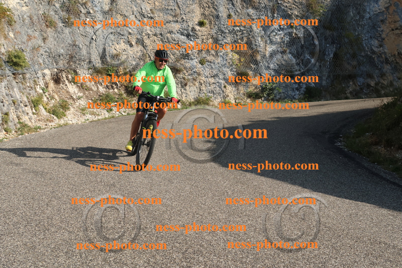 Col du Grand Colombier (1503).JPG