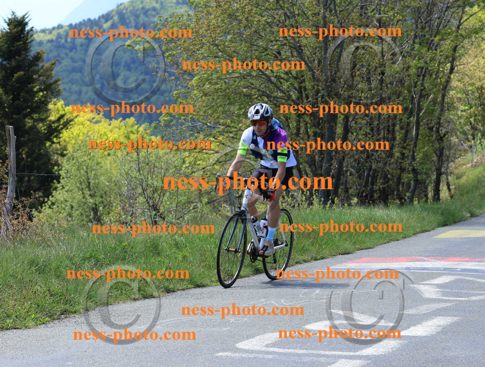 Col du Grand Colombier (69).JPG