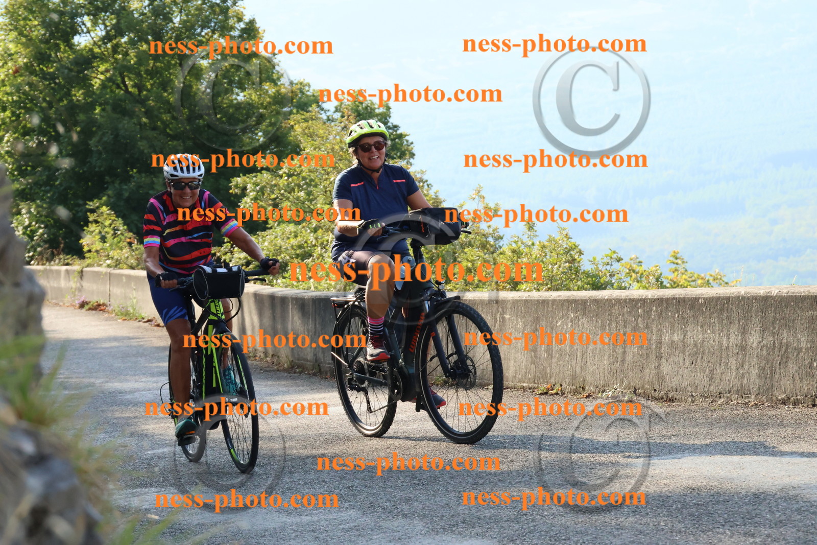 Col du Grand Colombier (288).JPG