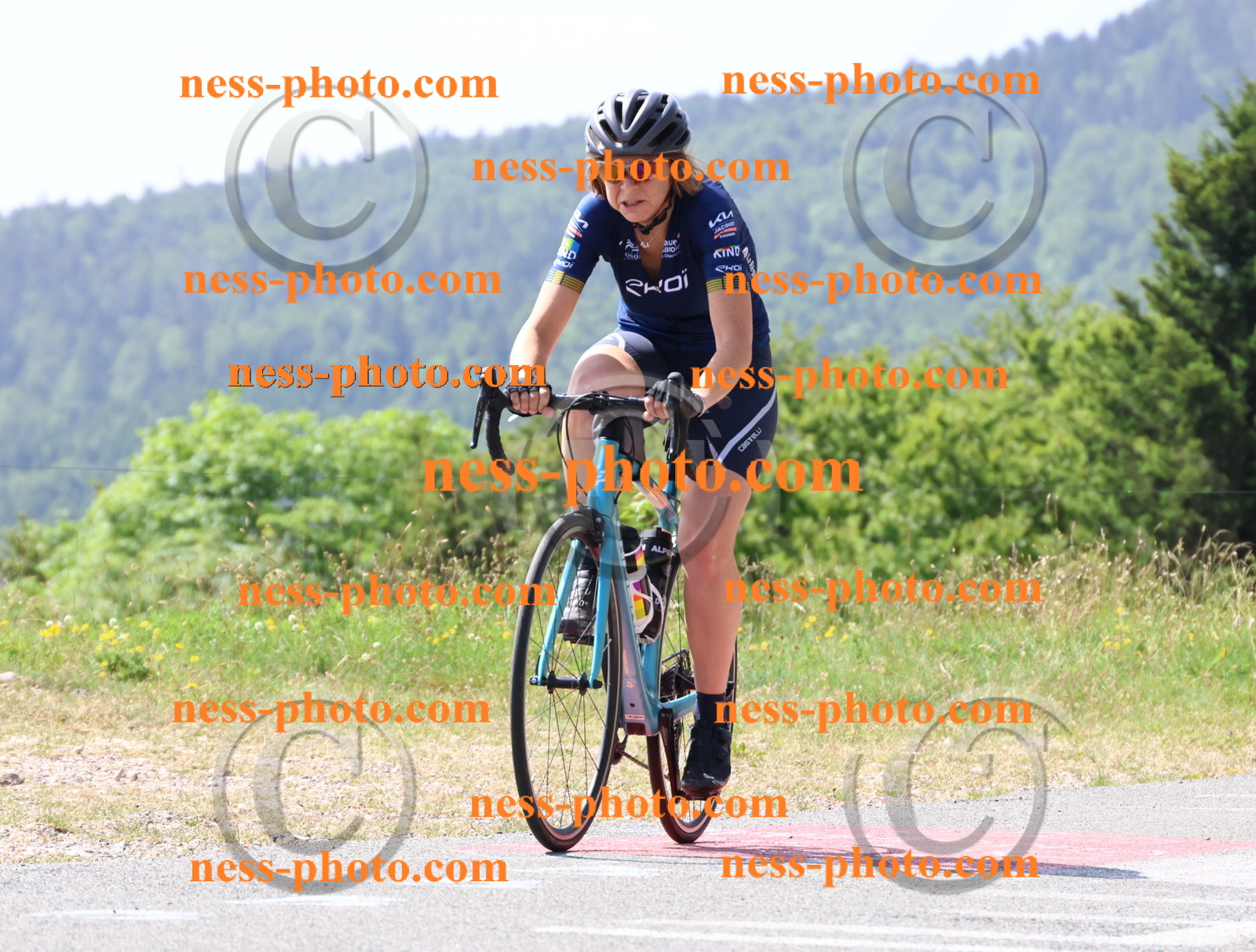 Col du grand Colombier (1281).JPG