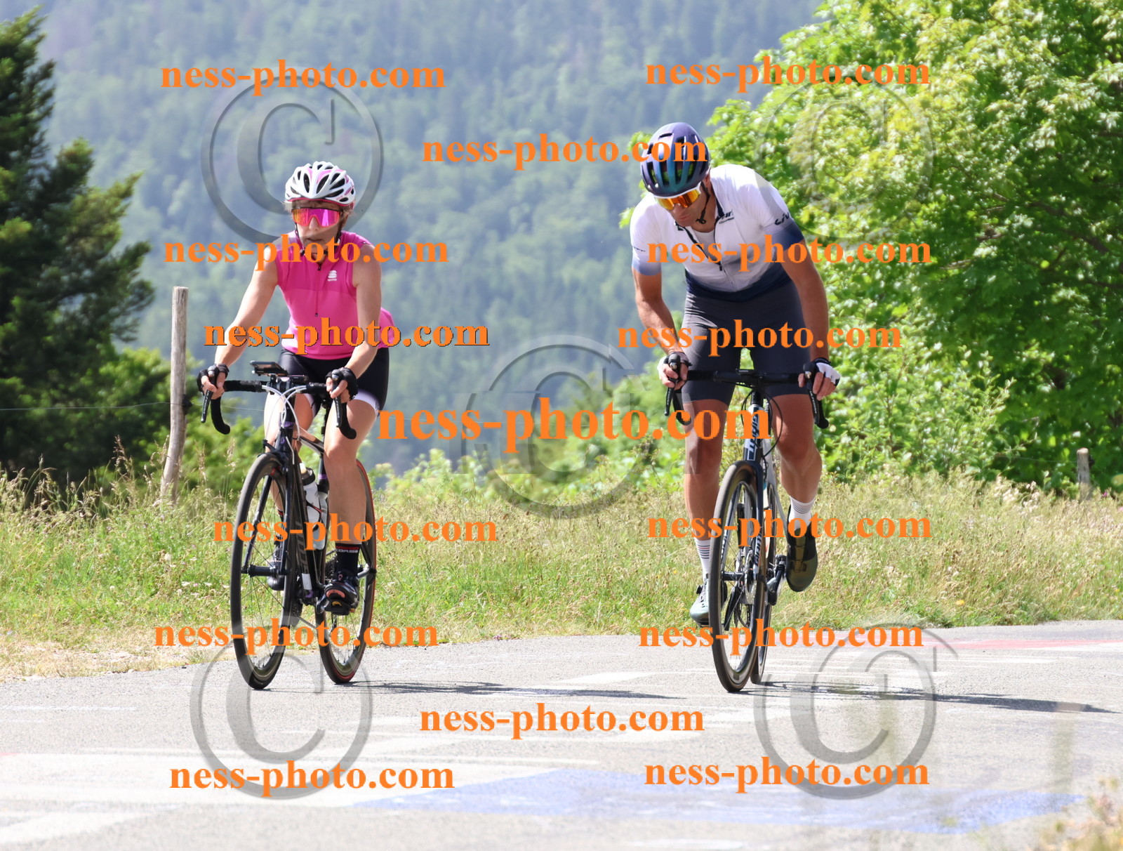 Col du grand Colombier (1376).JPG