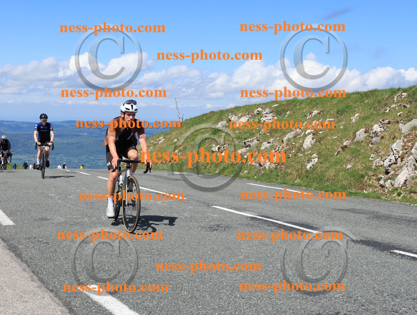 Col du Grand Colombier (1316).JPG