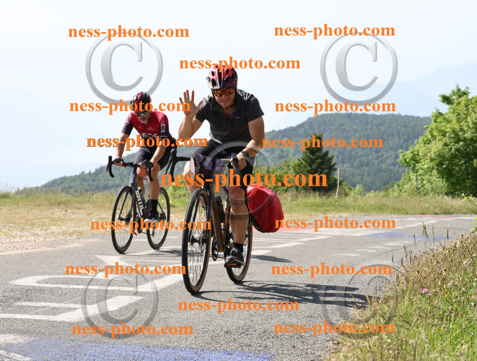 Col du grand Colombier (601).JPG