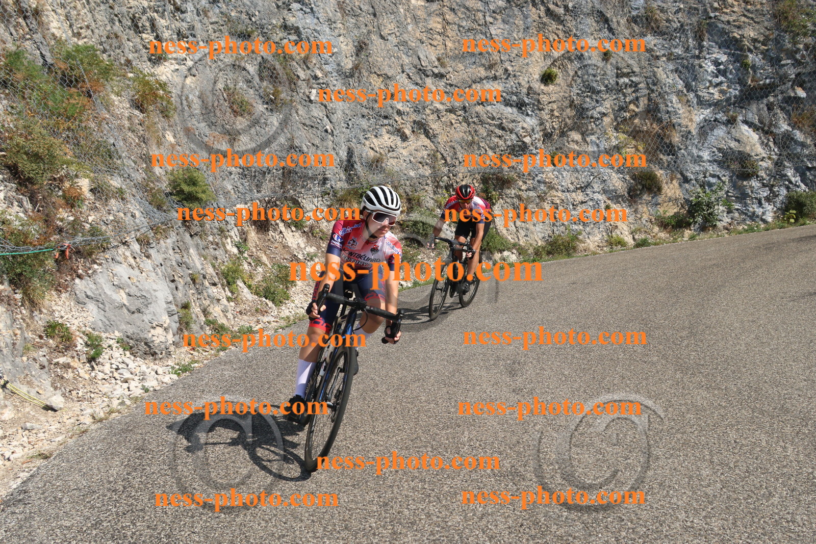 Col du Grand Colombier (2890).JPG