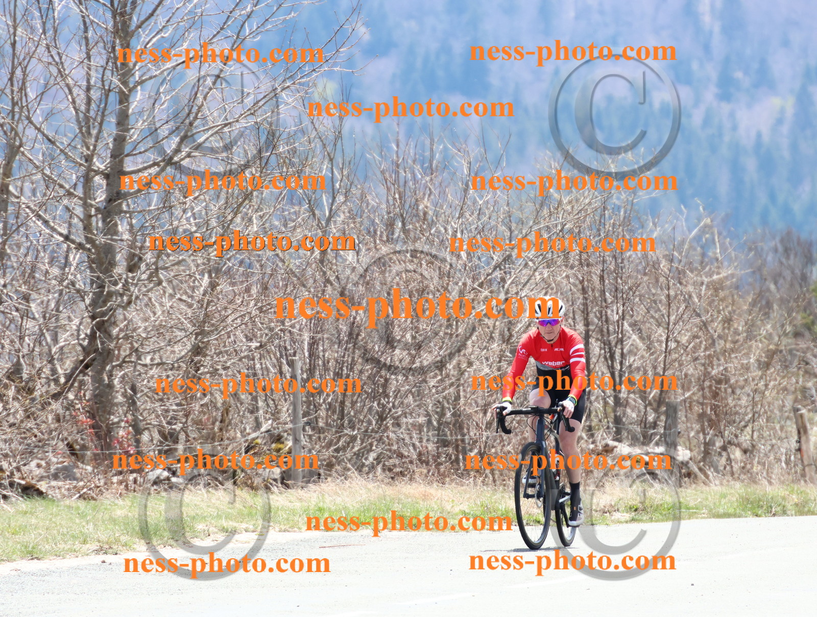 Col du Grand Colombier (330).JPG