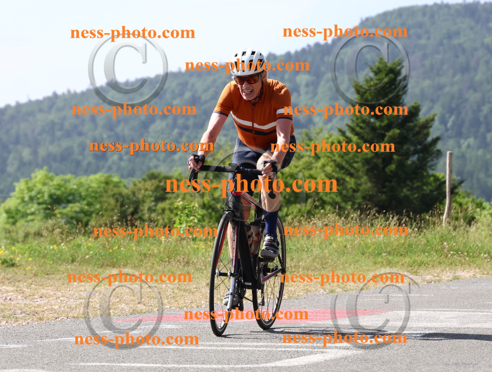 Col du grand Colombier (563).JPG