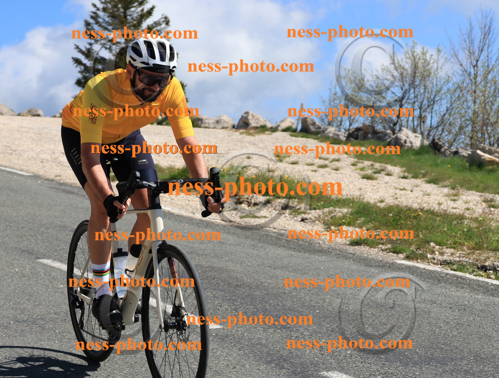 Col du Grand Colombier (39).JPG