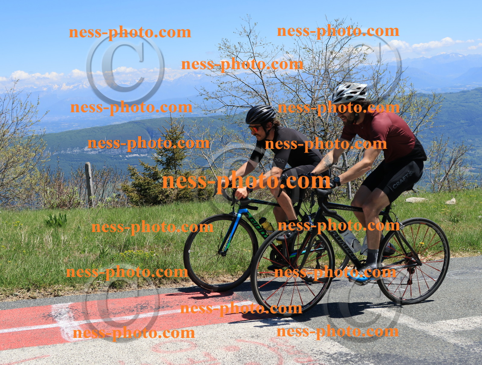 Col du Grand Colombier (450).JPG