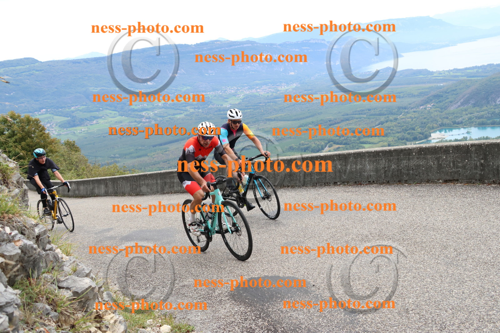 Col du Grand Colombier (2660).JPG