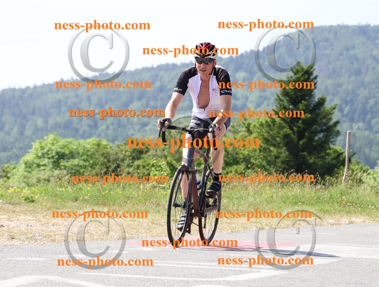 Col du grand Colombier (1335).JPG