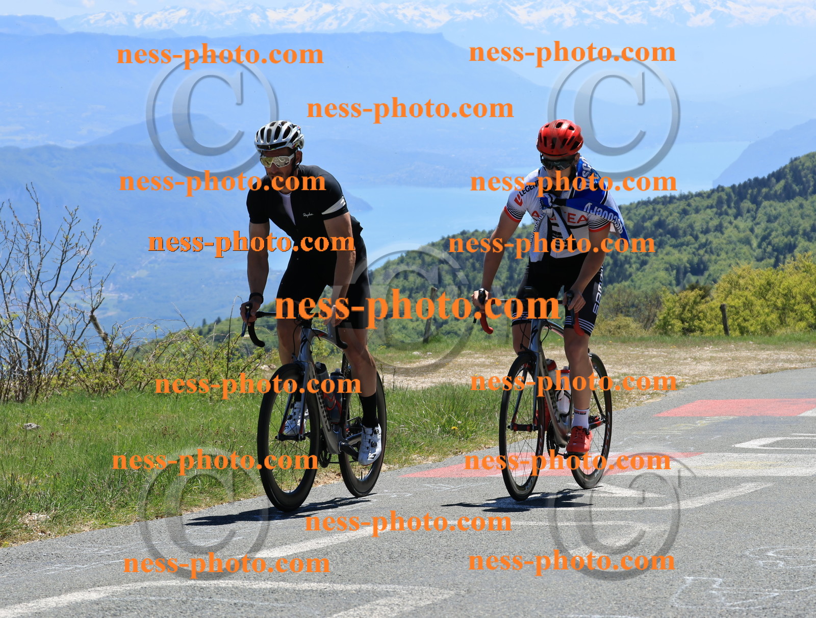 Col du Grand Colombier (388).JPG