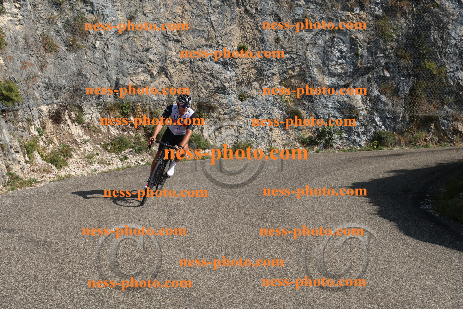 Col du Grand Colombier (2690).JPG