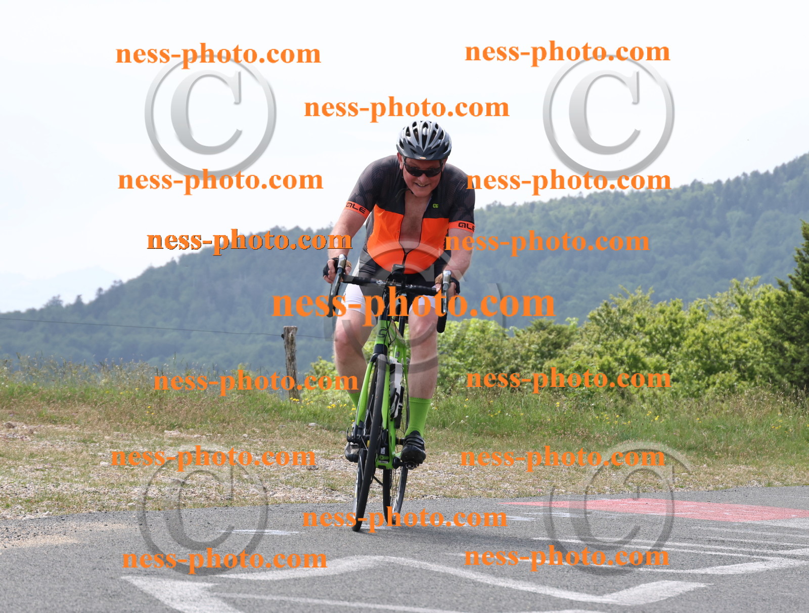 Col du grand Colombier (1879).JPG