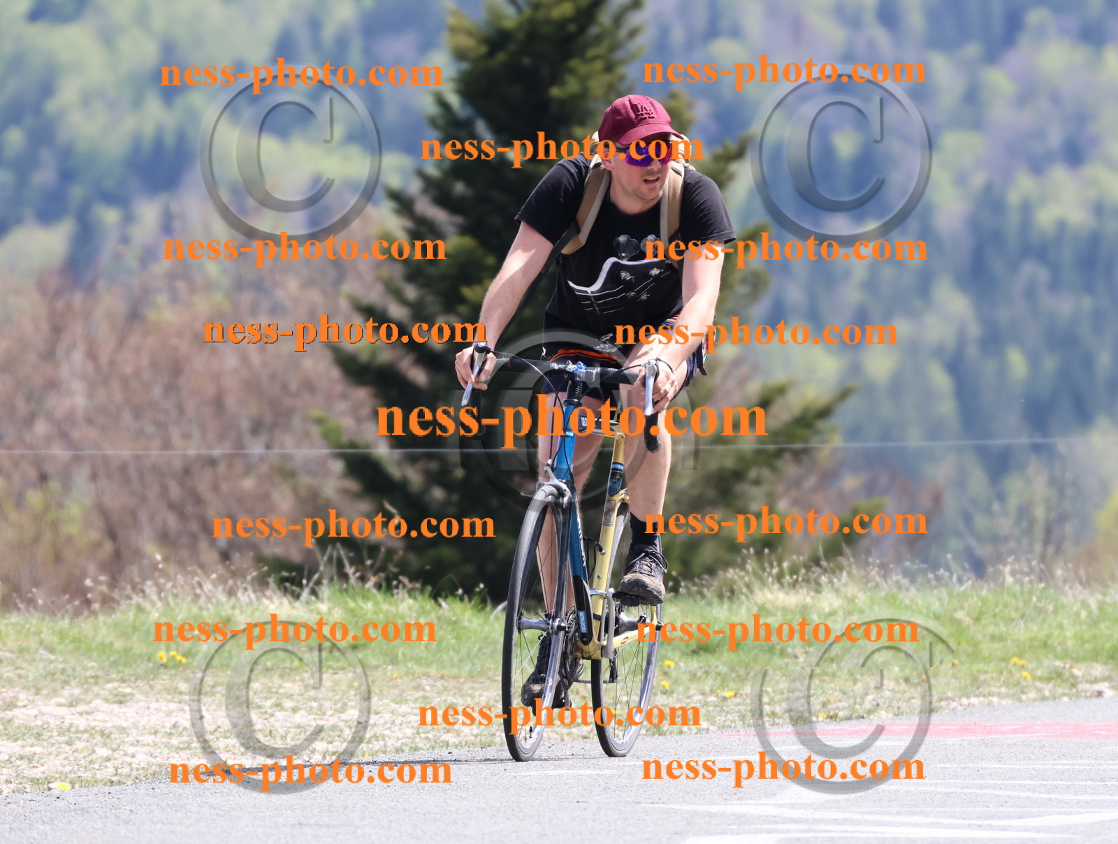 Col du Grand Colombier (968).JPG