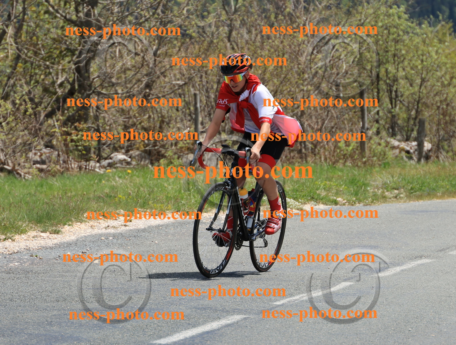 Col du Grand Colombier (519).JPG