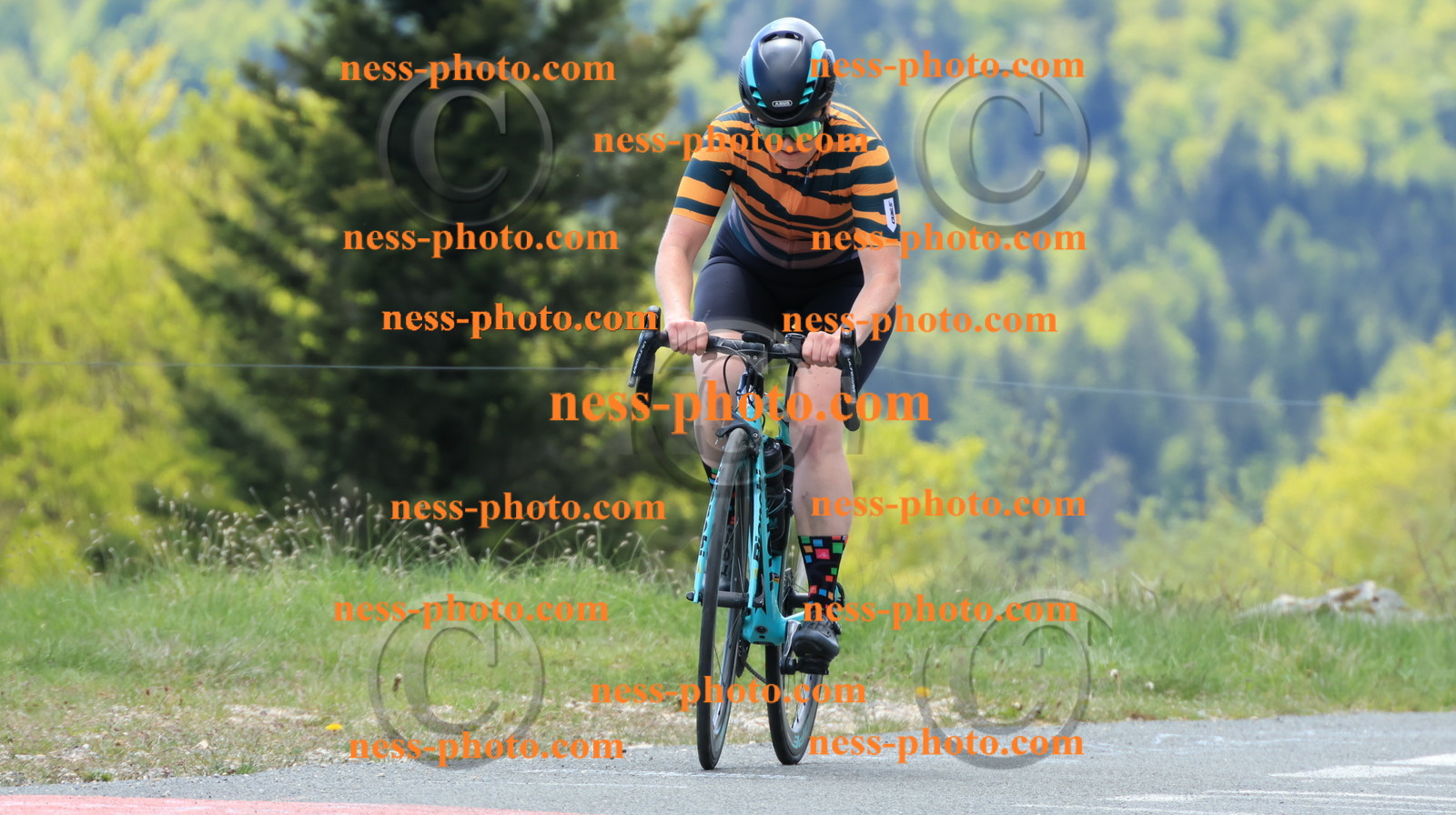 Col du grand Colombier (345).JPG