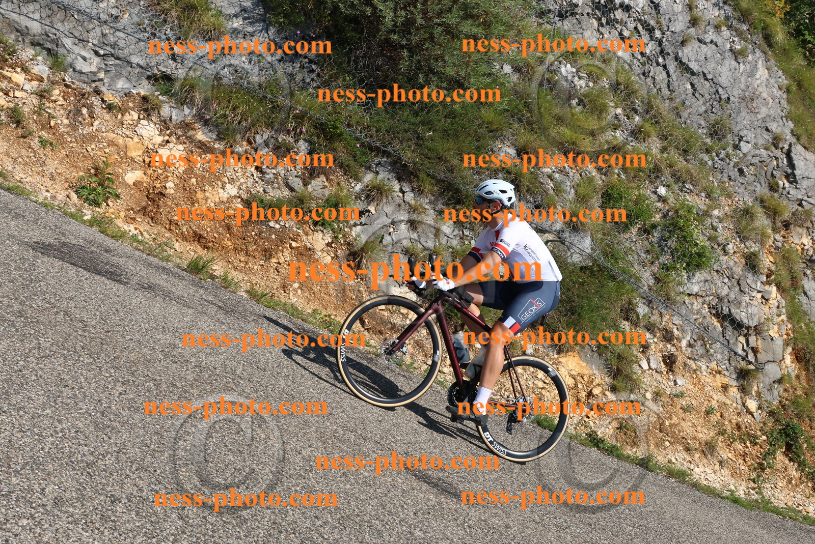 Col du Grand Colombier (375).JPG