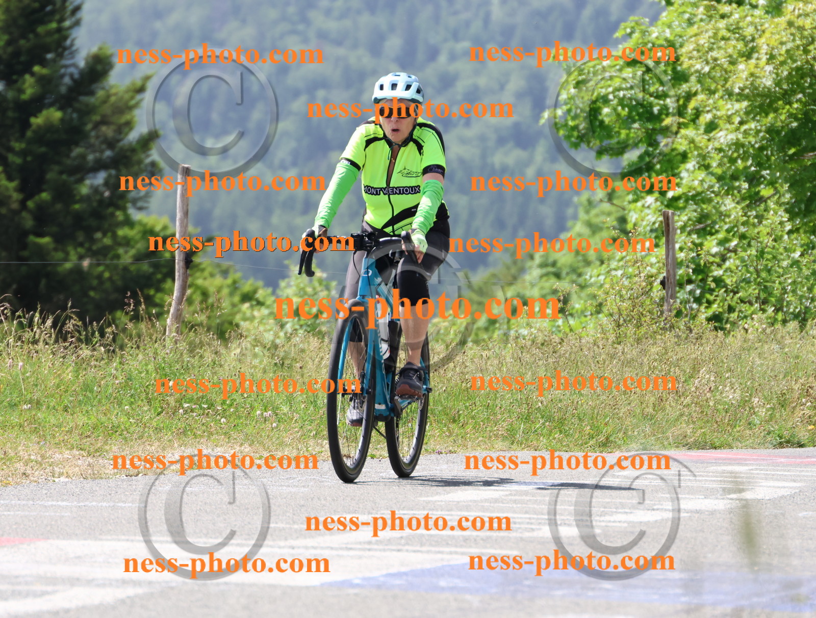 Col du grand Colombier (1676).JPG