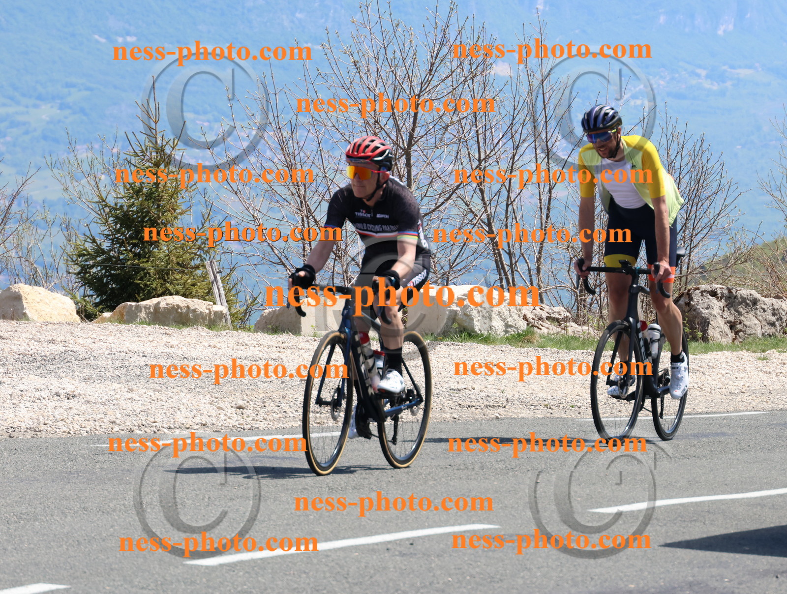 Col du Grand Colombier (869).JPG