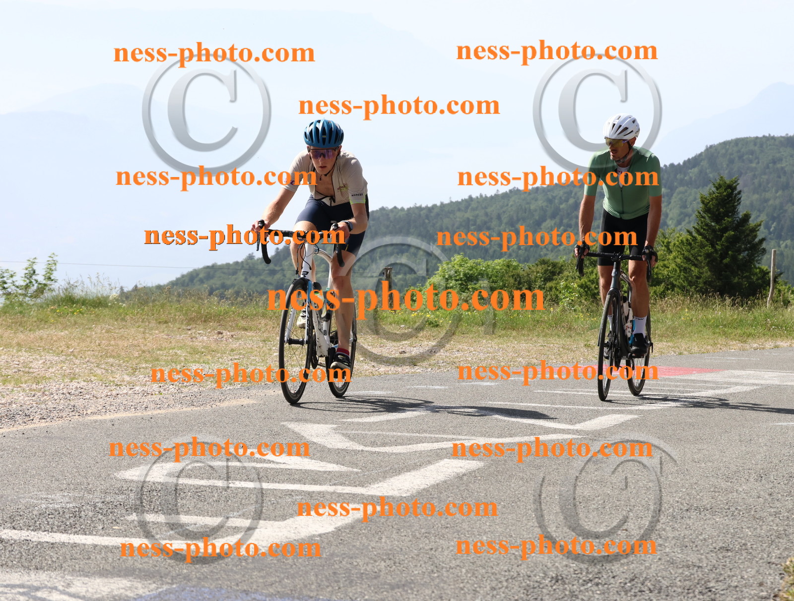 Col du grand Colombier (808).JPG