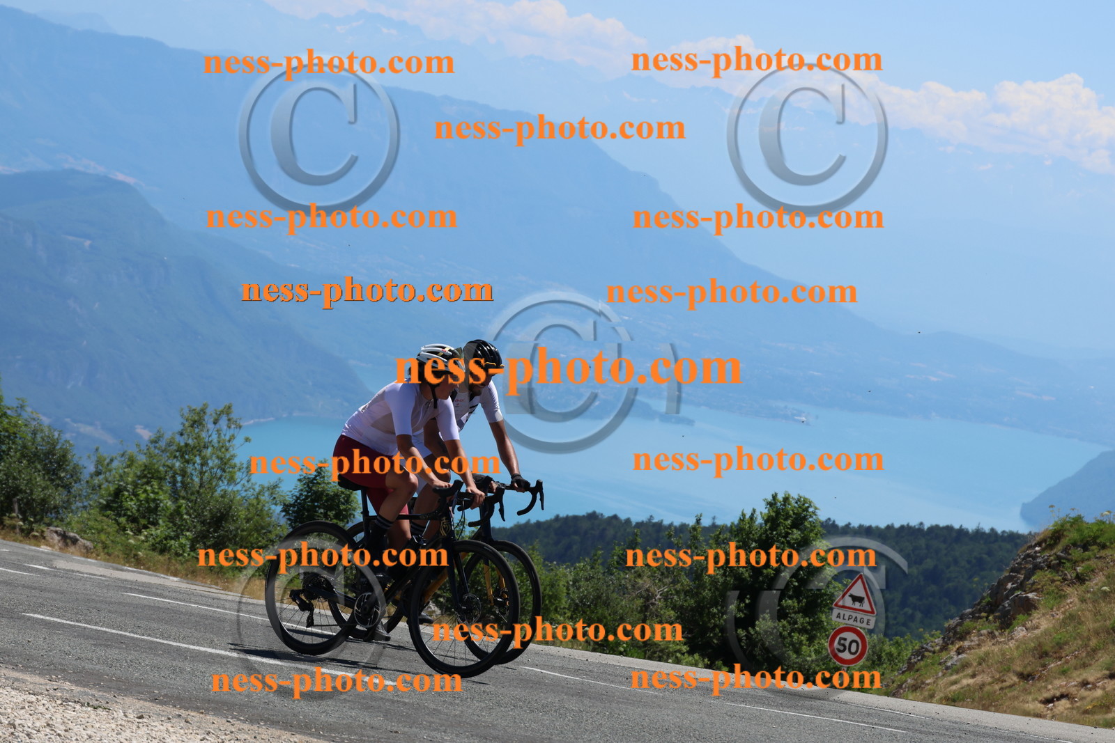 Col du Grand colombier (234).JPG