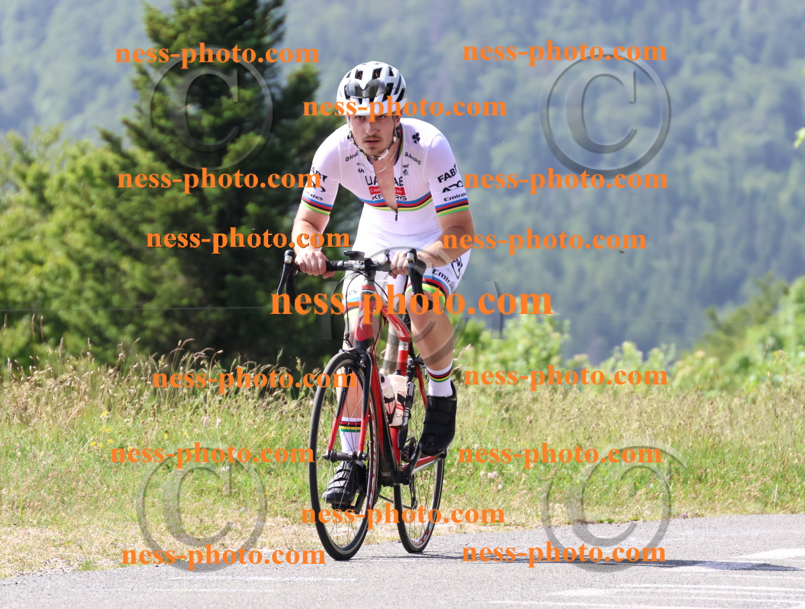 Col du grand Colombier (894).JPG