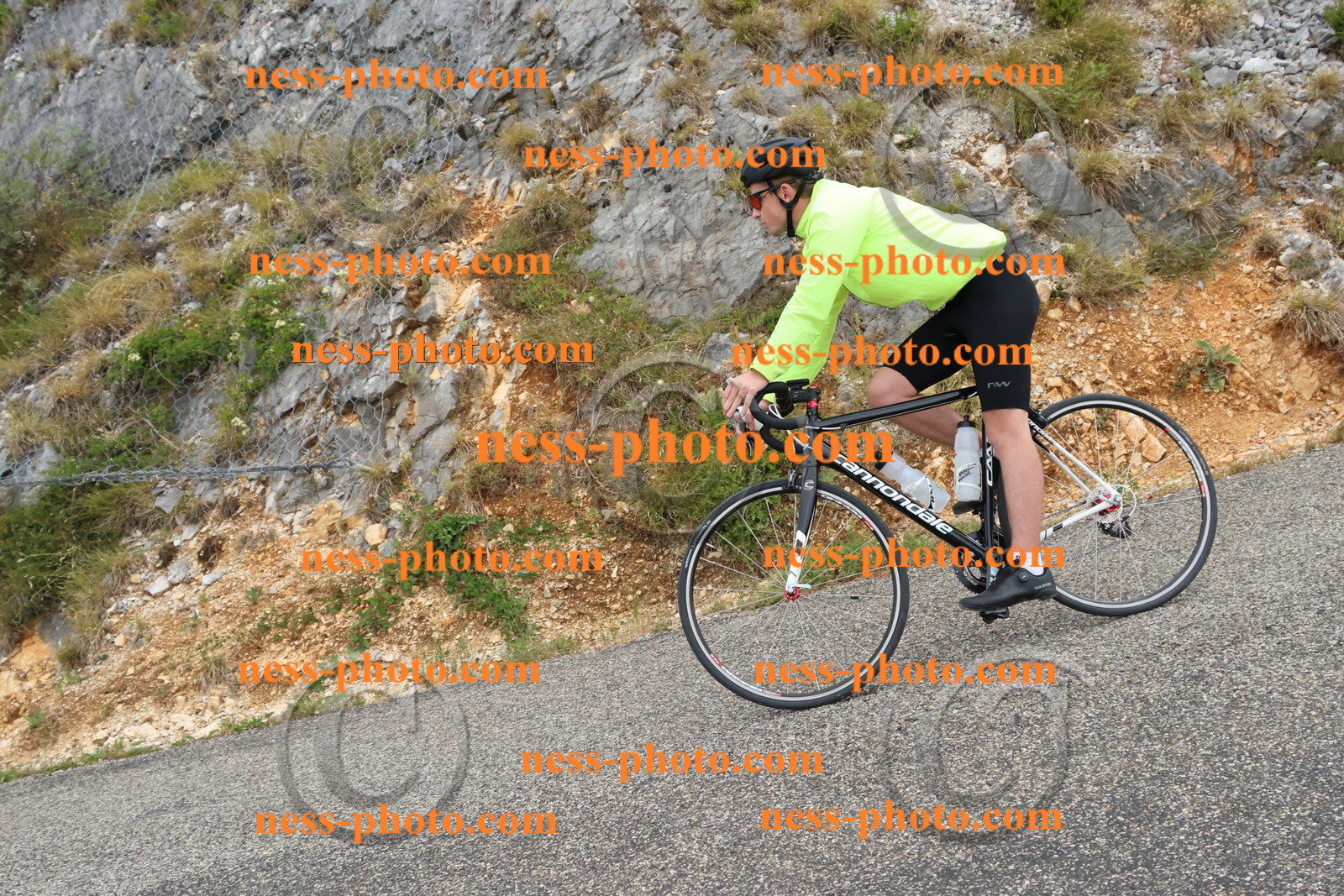 Col du Grand Colombier  (775).JPG