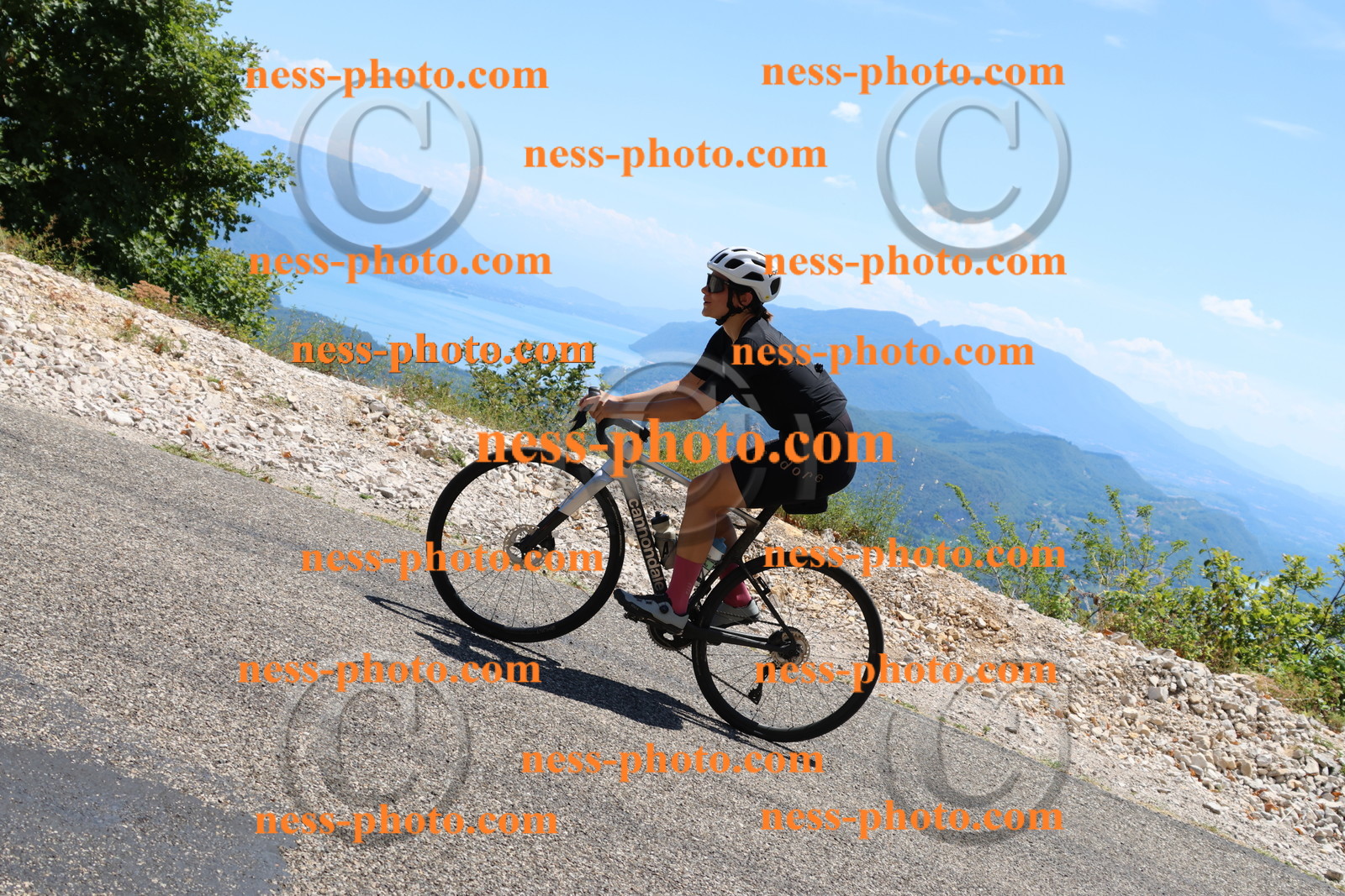 Col du Grand Colombier (2824).JPG