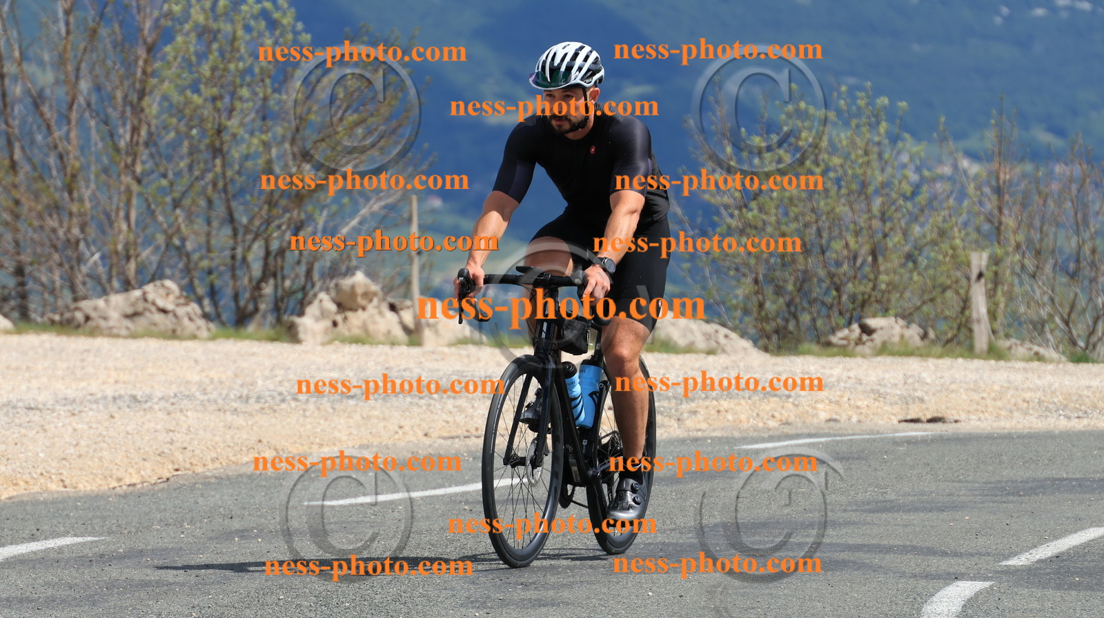 Col du grand Colombier (770).JPG