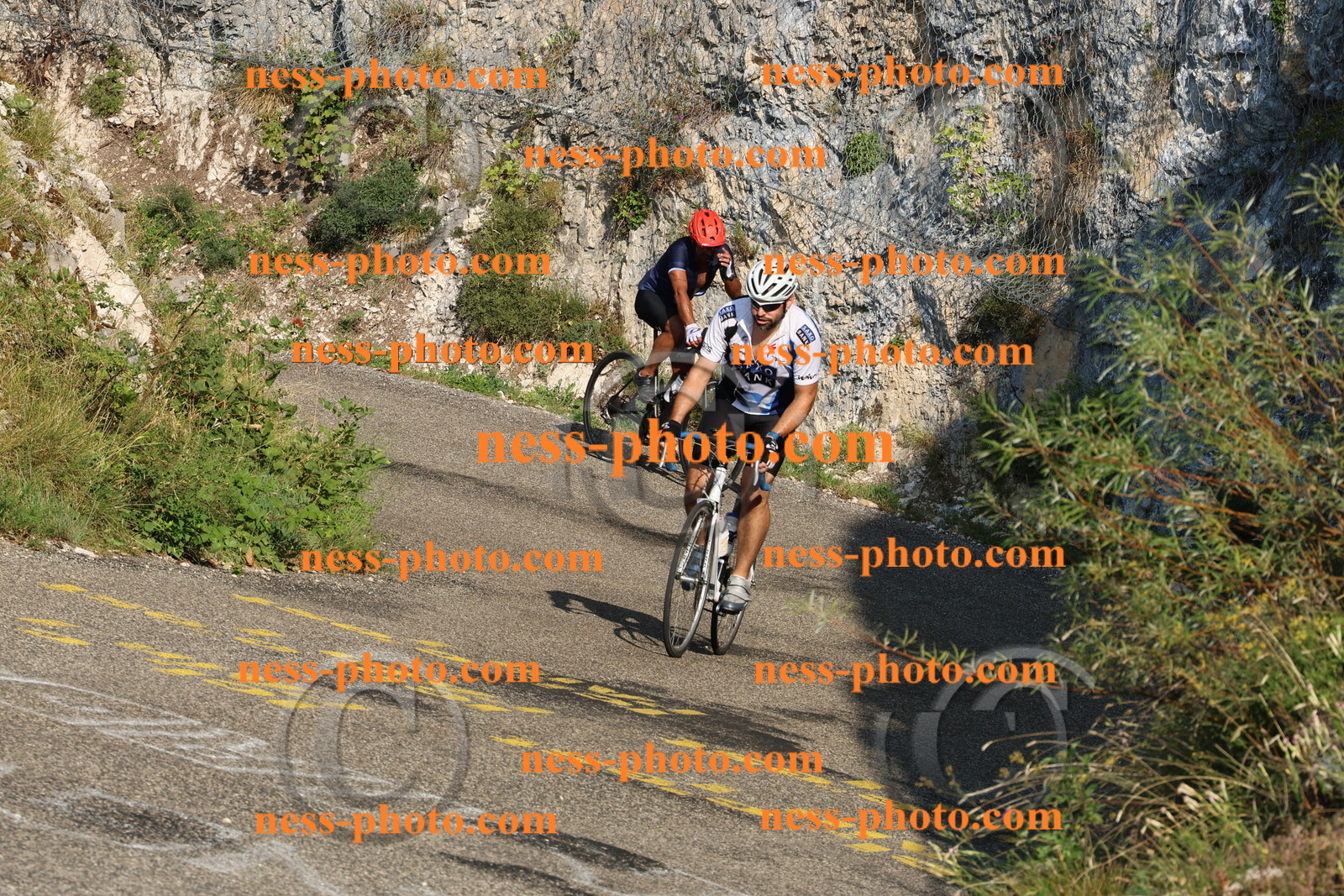 Col du Grand Colombier (66).JPG