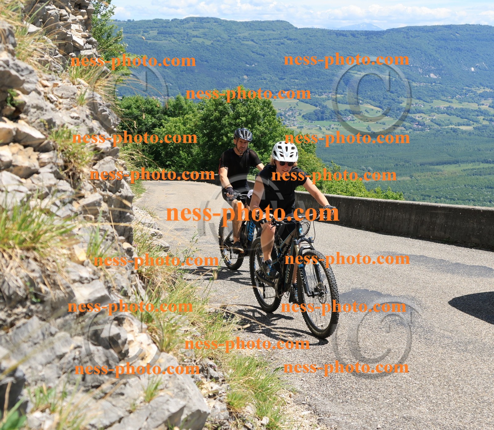 Col du Grand Colombier (650).JPG