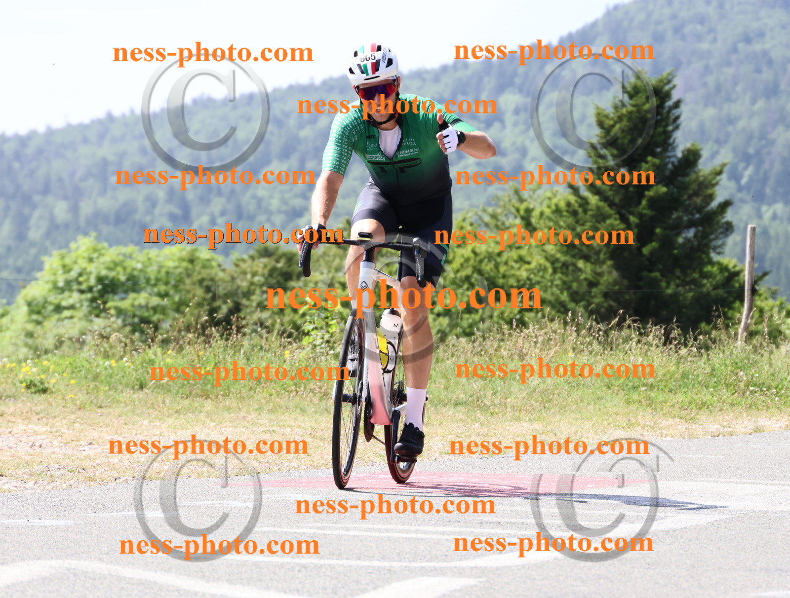 Col du grand Colombier (1237).JPG