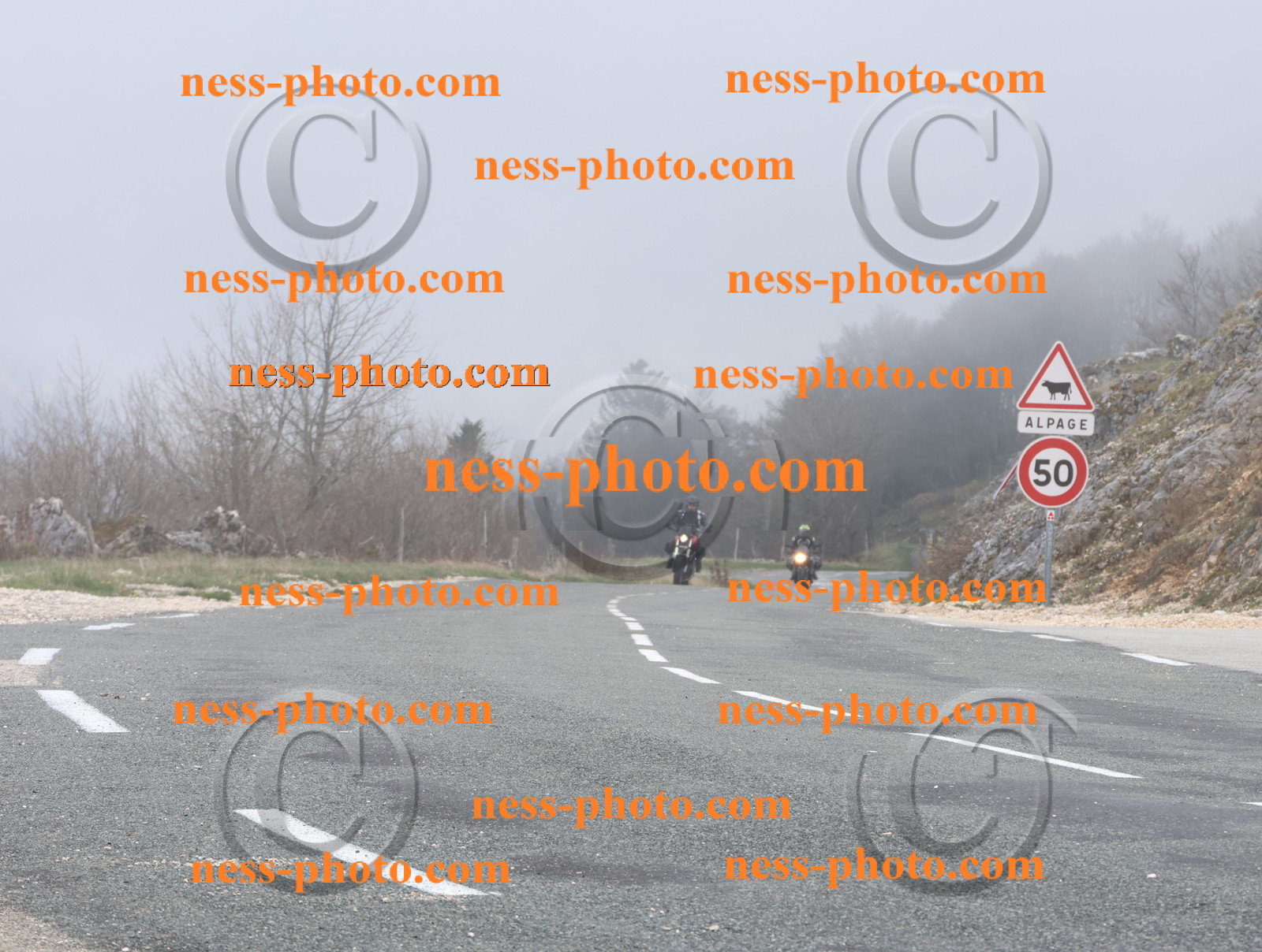 Col du Grand Colombier (24).JPG