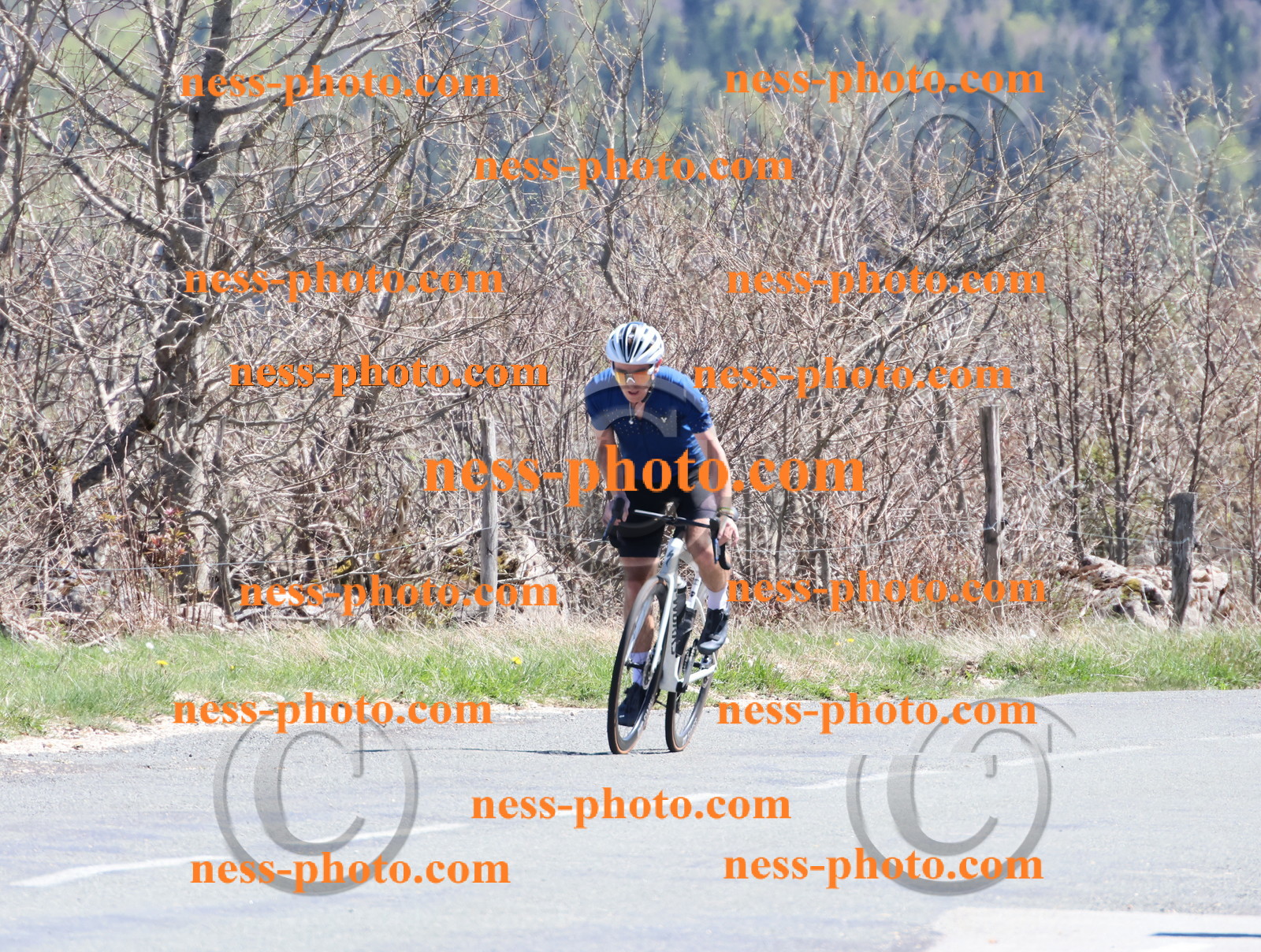 Col du Grand Colombier (904).JPG