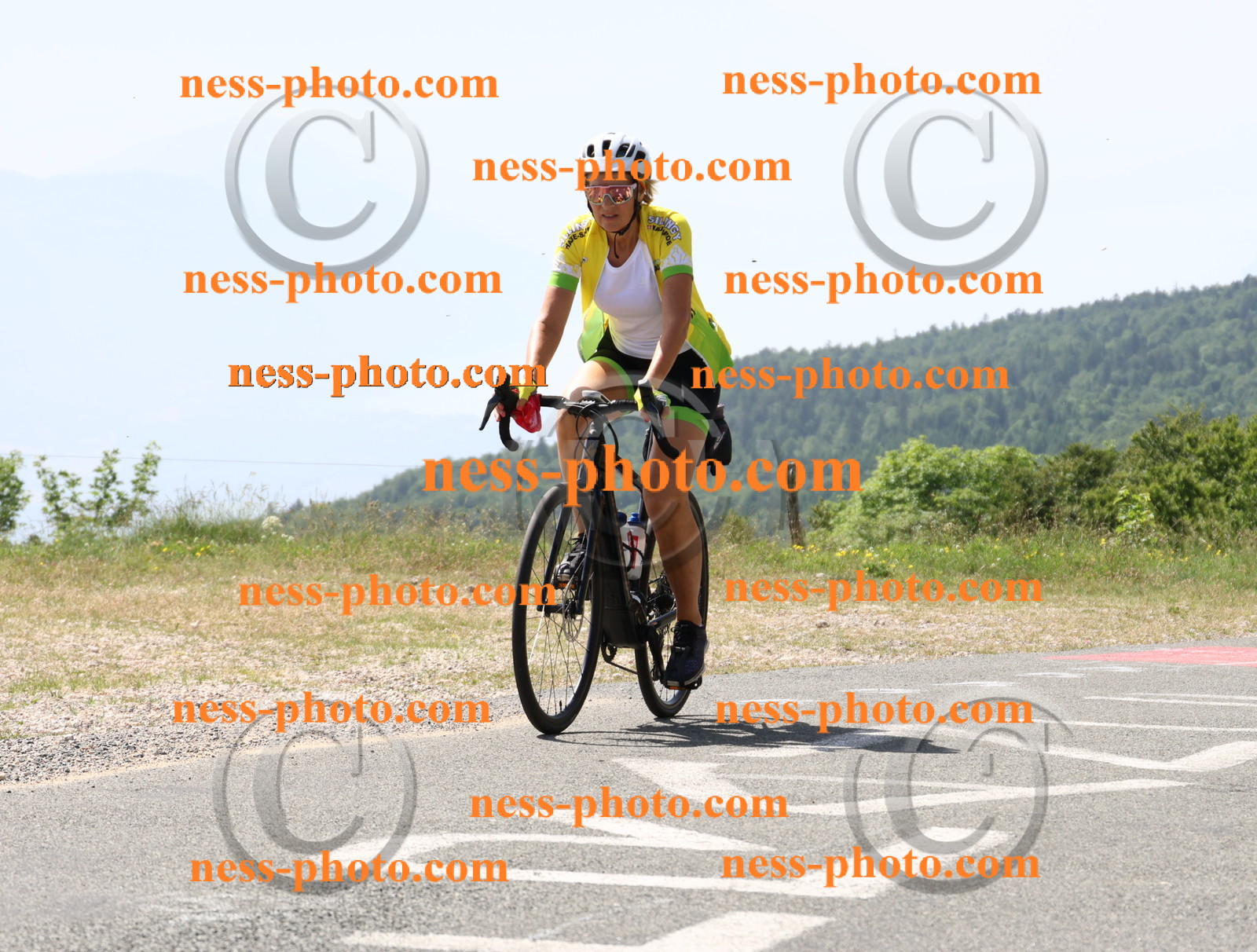 Col du grand Colombier (1495).JPG